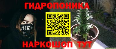 мяу мяу мука Краснодар
